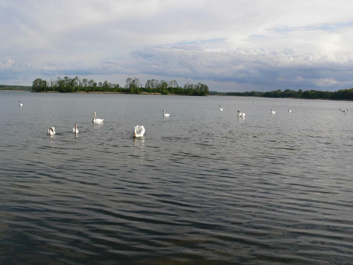 Złota Leśniczówka Rydzowka Exterior foto