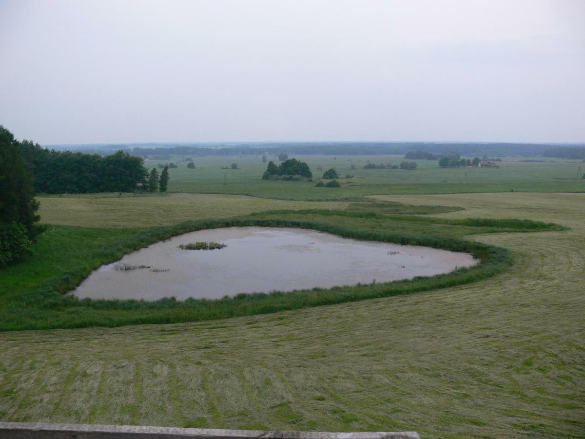Złota Leśniczówka Rydzowka Exterior foto