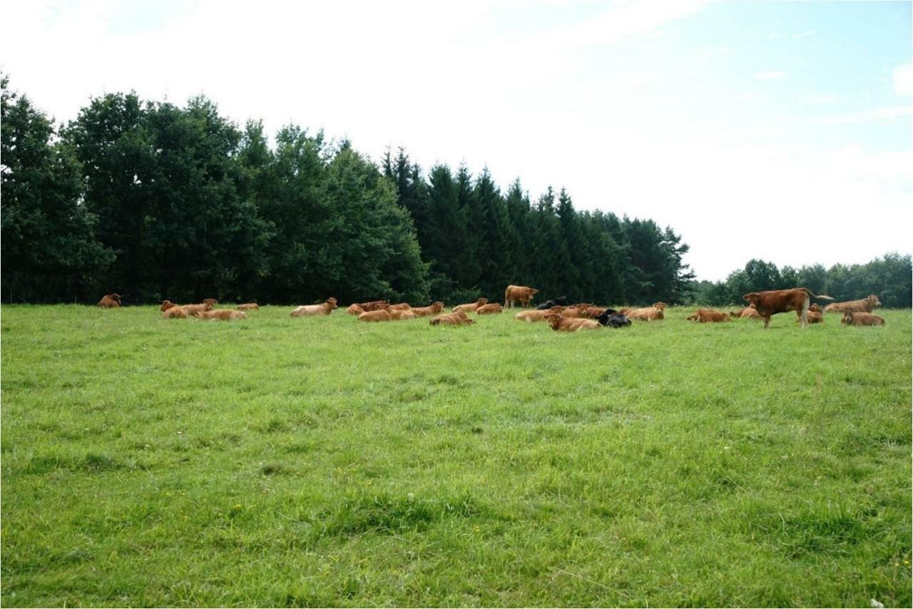 Złota Leśniczówka Rydzowka Exterior foto